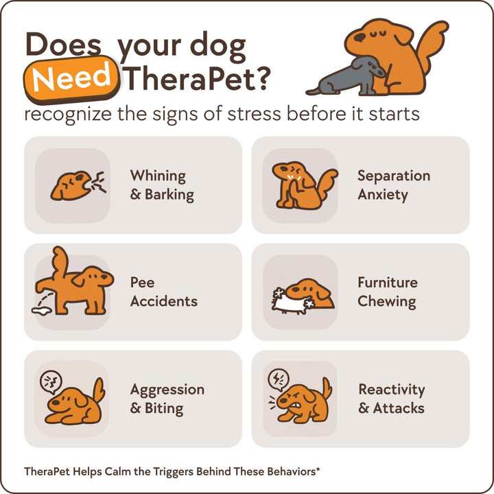 Calming Diffuser Set for Dogs