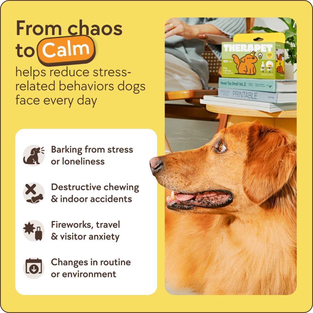 Calming Diffuser Set for Dogs