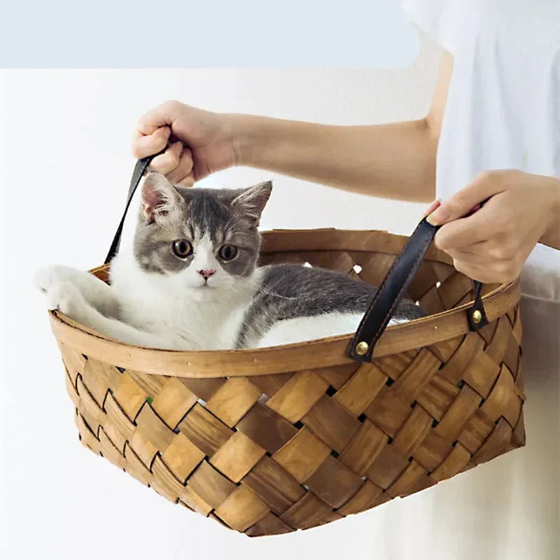 Tropical Monstera Cat Bed & Pet Floor Cushion, view 5 - Elena Harper