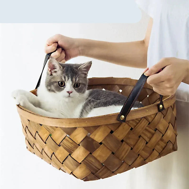 Tropical Monstera Cat Bed & Pet Floor Cushion, view 5 - Elena Harper