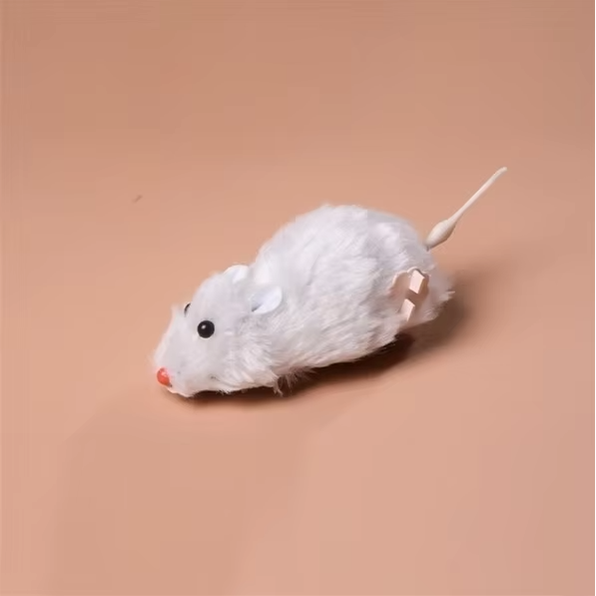 Electric Cat Mouse Toy With Automatic Racing Movement For Interactive Hunting Fun