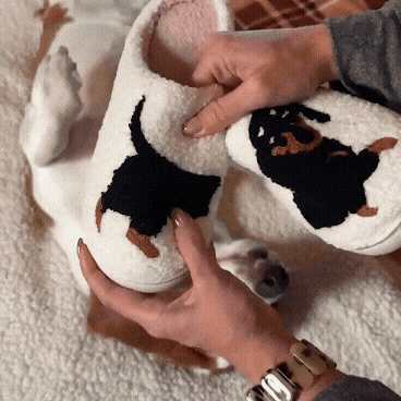 Karina™ soft canine slippers by Emma & Rose Cape Town, white cozy slip-on pantoufles doux canidé for dogs and pet lovers.