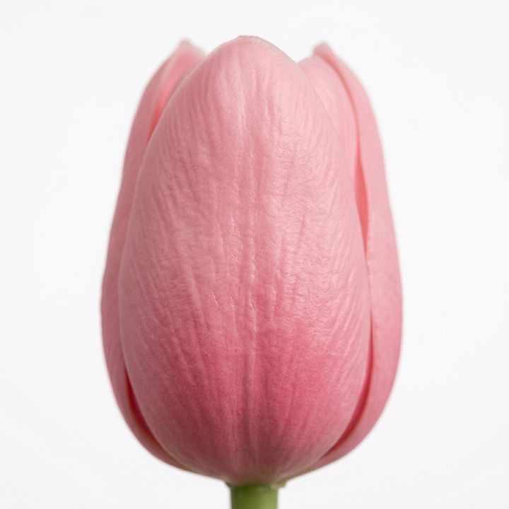 Bloomara Real Touch Latex Tulip Bouquet - Elena Harper
