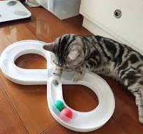 Interactive Cat Toy: Infinity Ball Track for Endless Feline Fun
