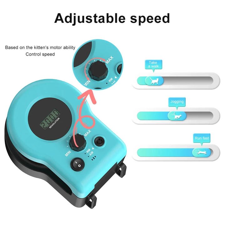 Indoor Interactive Cat Hunting Toy with Motion-Based Exercise