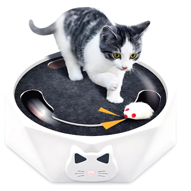 Interactive Cat Mouse Toy with Scratch Pad & Lounge