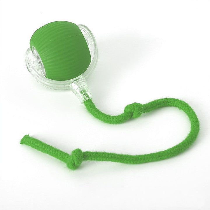 Interactive Rolling Ball with Tail for Cats