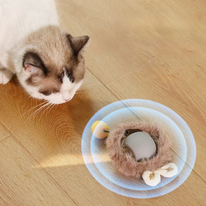 Interactive Rolling Ball with Tail for Cats
