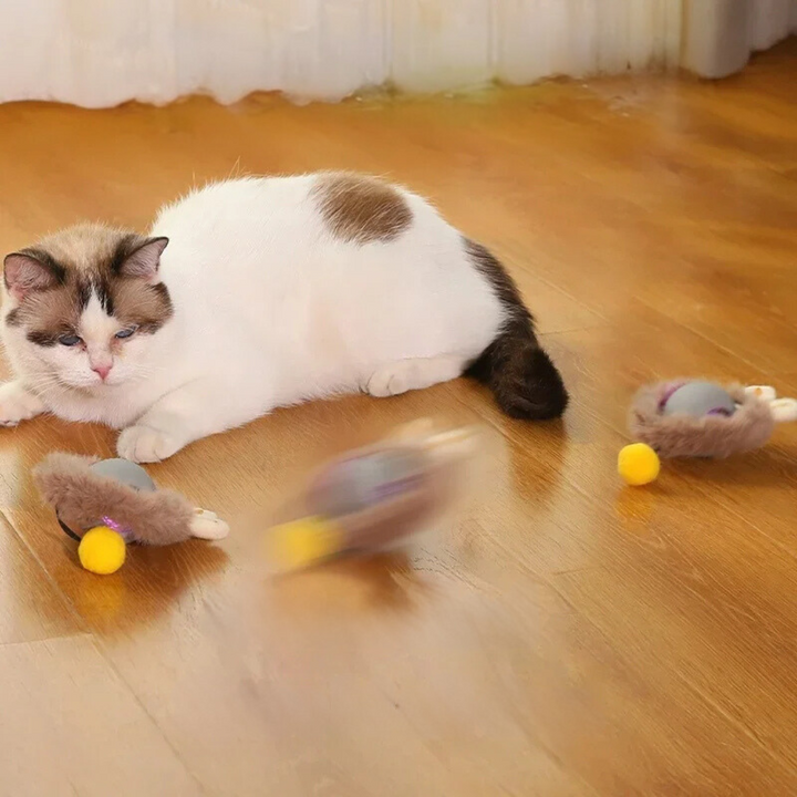 Interactive Rolling Ball with Tail for Cats