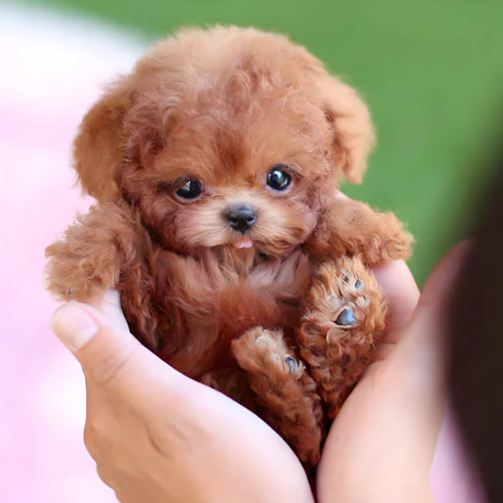 Interactive Robotic Puppy Toy for Kids