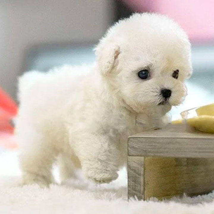 Interactive Robotic Puppy Toy for Kids