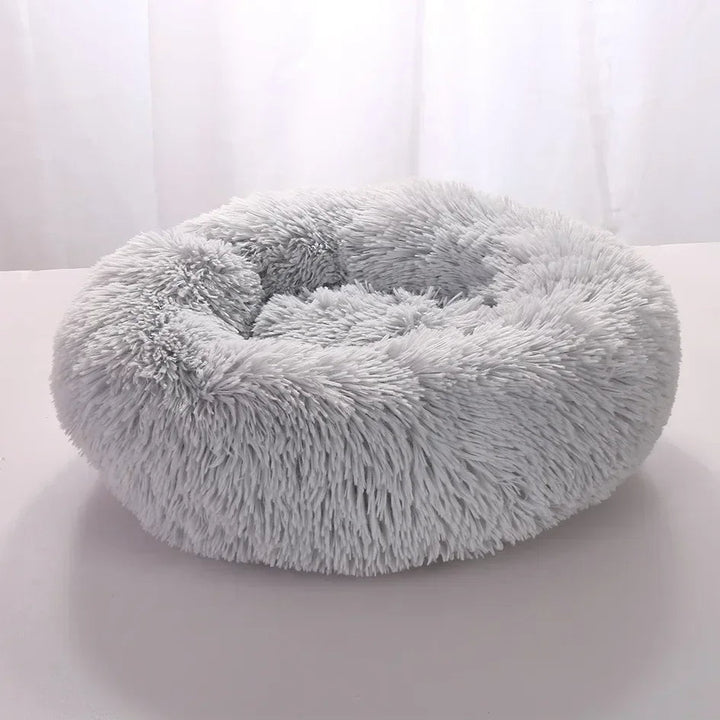 Premium Comfortable Dog Beds for All Sizes