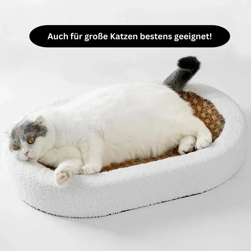 Premium Cat Bed with Integrated Scratching Surface