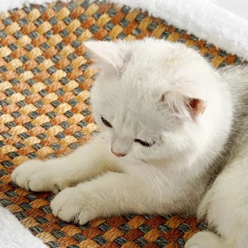 Premium Cat Bed with Integrated Scratching Surface