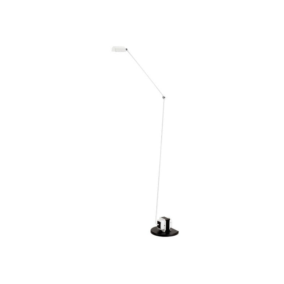 Modern Adjustable Arm Floor Lamp