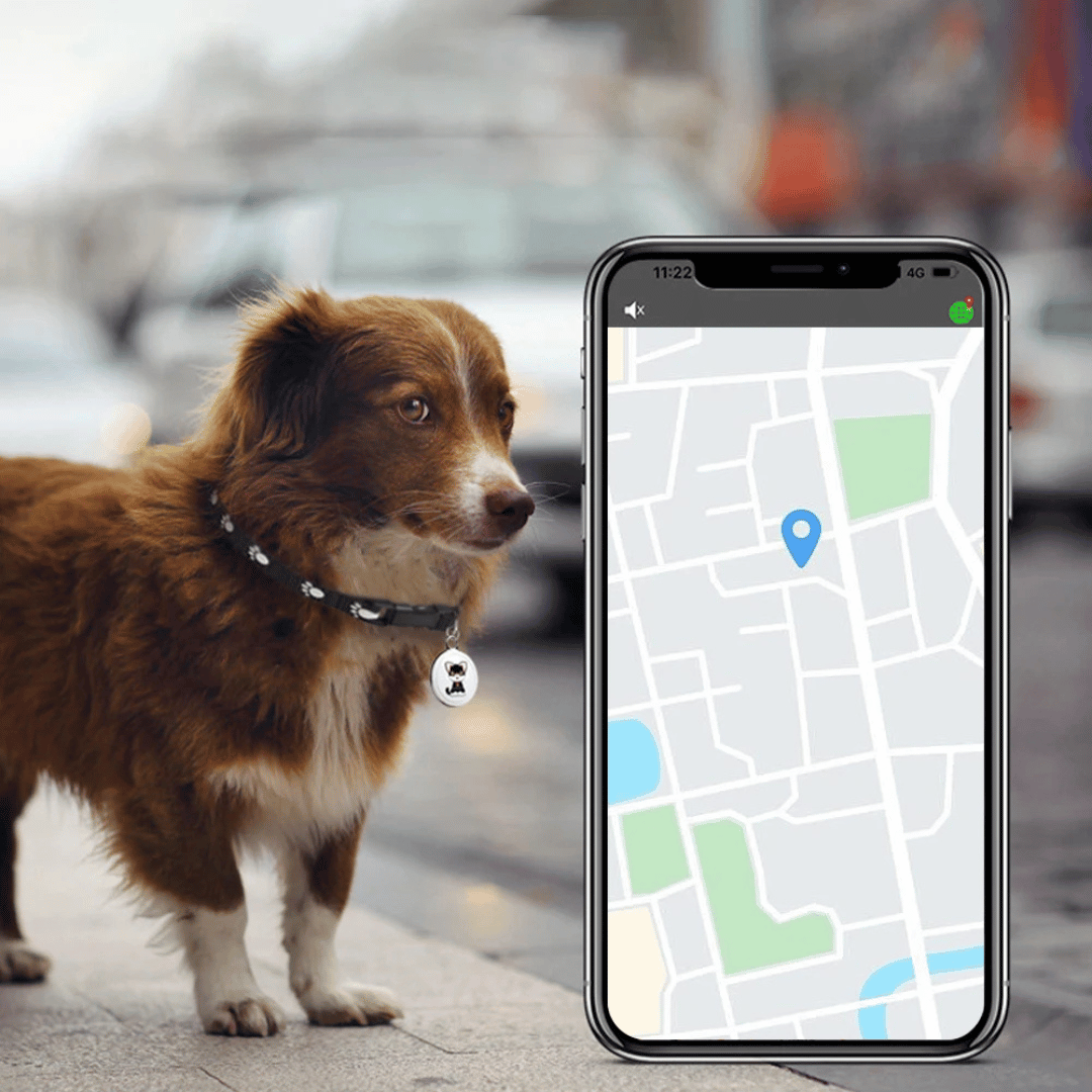 GPS Tracker for Pets - Dogs and Cats - Android and iOS