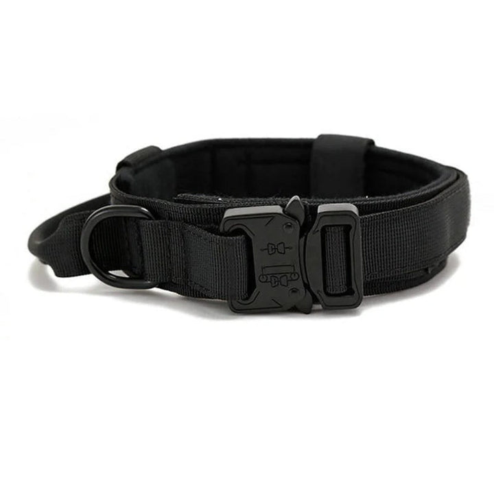 Reflective Dog Collar Set With Leash For Training And Safety