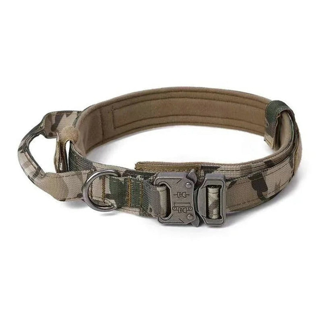 Reflective Dog Collar Set With Leash For Training And Safety