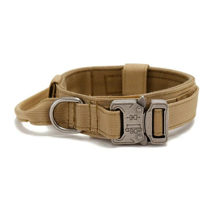 Reflective Dog Collar Set With Leash For Training And Safety