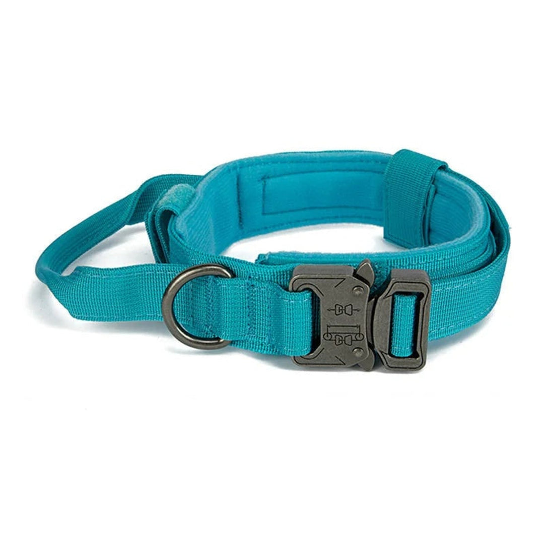 Reflective Dog Collar Set With Leash For Training And Safety