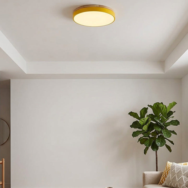 Round Flush Ceiling Light With Solid Wood Rim