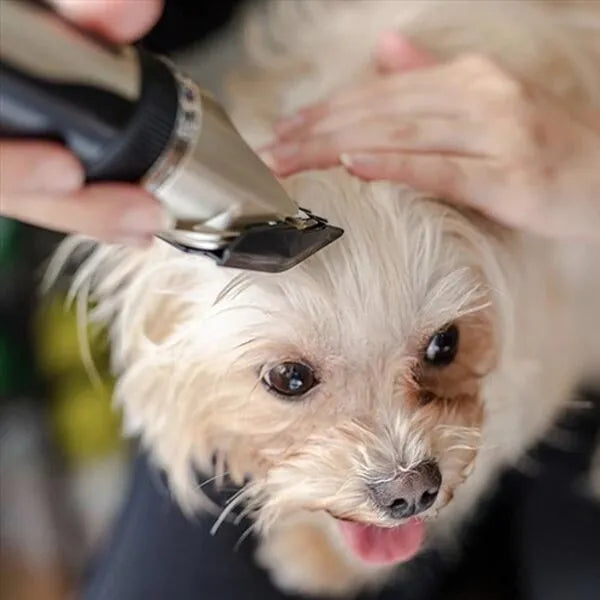 Silent Dog Grooming Trimmer Set with Adjustable Combs