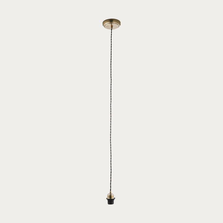 Single Adjustable Pendant Light Cable Set With Ceiling Mount