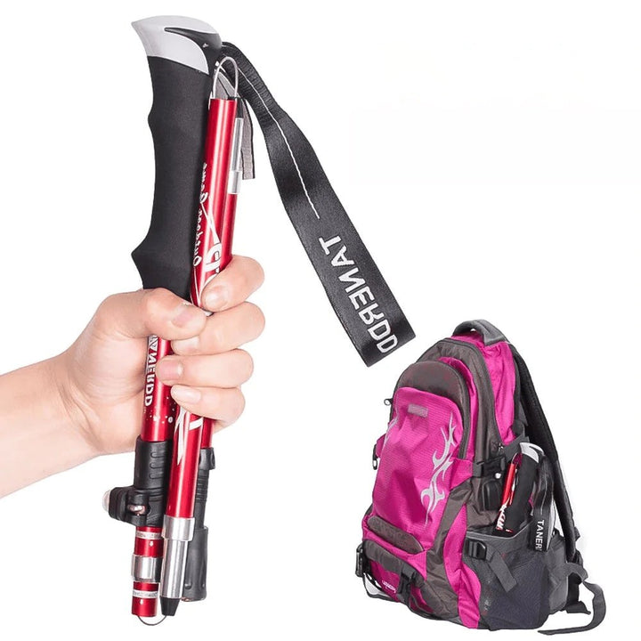 Telescopic Trekking Poles – TrailMaster