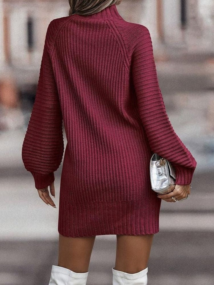 Warm Ribbed Sweater Dress with High Collar and Long Sleeves for Women