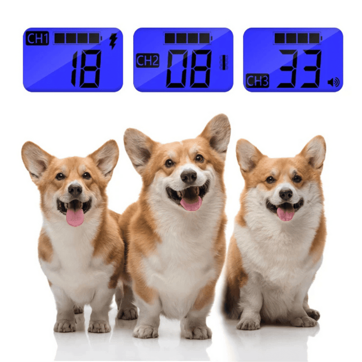 Waterproof Dog Training Collar with Remote Control (800m)
