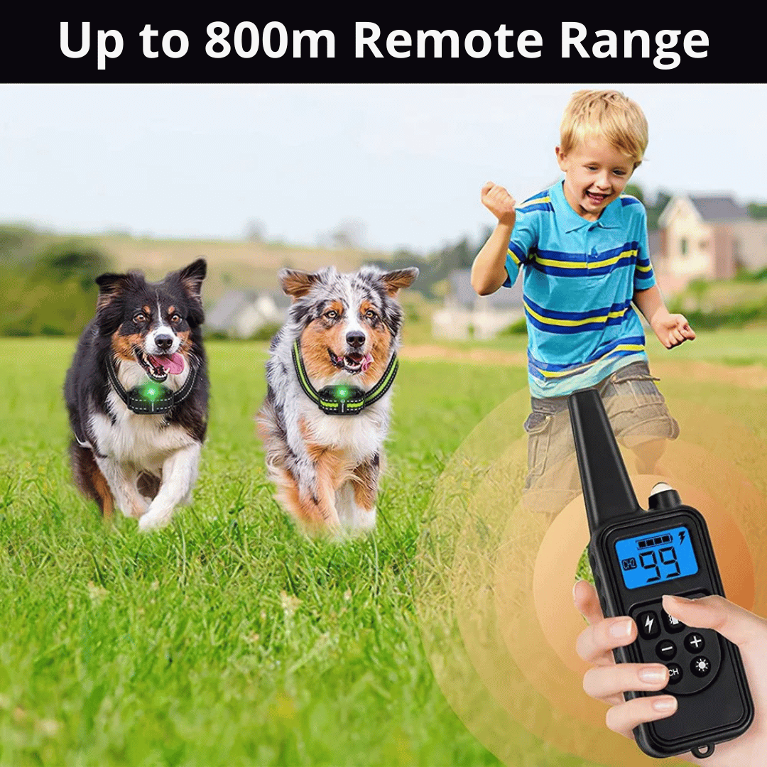 Waterproof Rechargeable Remote-Controlled Dog Training Collar