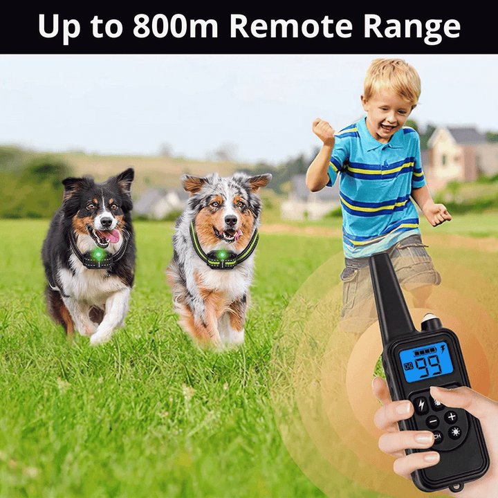 Waterproof Rechargeable Remote-Controlled Dog Training Collar