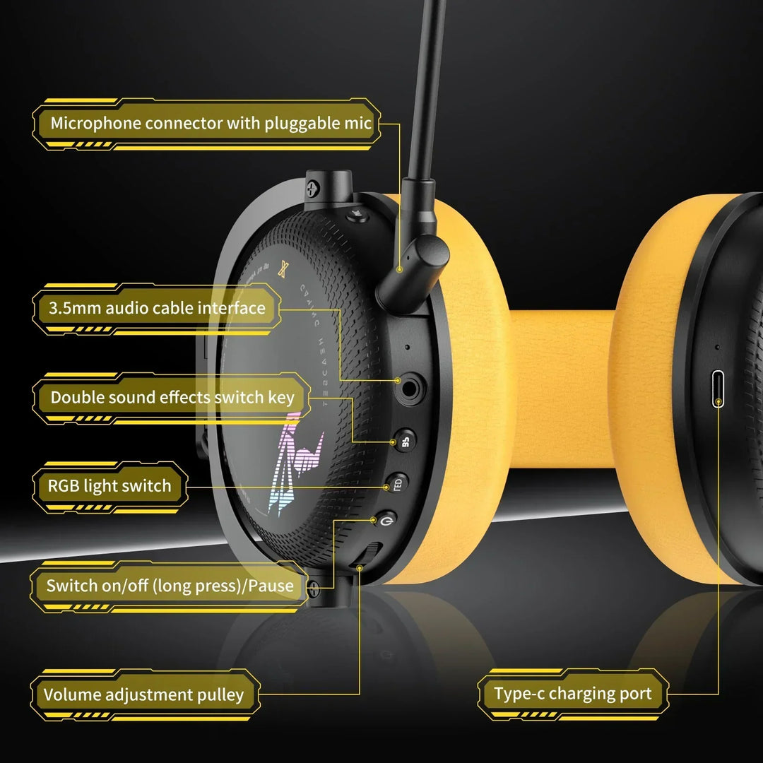 Wireless Gaming Headset with Detachable Mic, RGB Lights